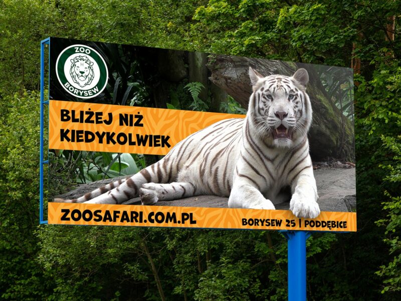 Photo - Zoo Safari